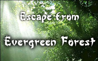 Escape from Evergreen Forest